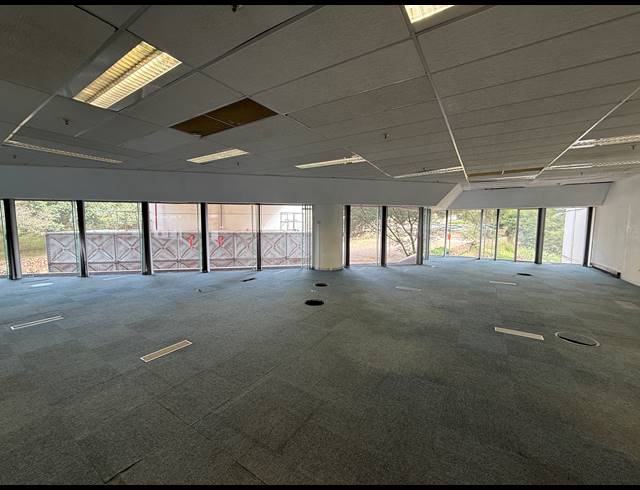 1,477M² OFFICE TO LET IN AUCKLAND PARK